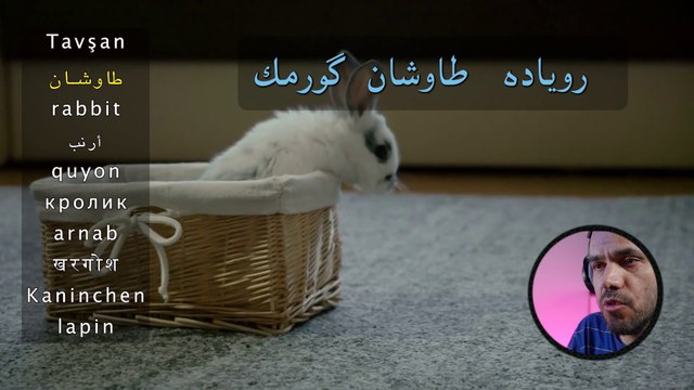 Rüyada Tavşan Görmek - İhya Rüya Tabirleri