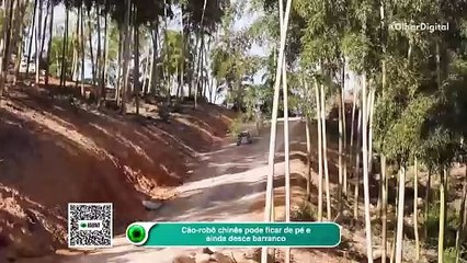 Cão-robô chinês pode ficar de pé e ainda desce barranco