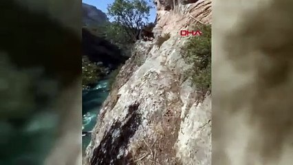 Gurur duymamak elde değil! Bak şu fedakar Mehmetçiğin yaptığına…