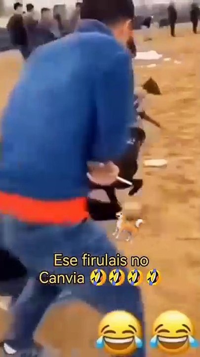 animaux les animaux les animaux fantastiques les animaux domestiques les animaux sauvages la ferme des animaux le carnaval des animaux les animaux de la ferme la compagnie des animaux assurance animaux animaux aquatiques animaux australie animaux a adopte