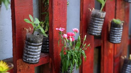 Mundo Verde: Jardines verticales en escuelas