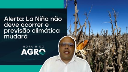 La Niña ainda não se confirmou em 2024, diz agência climática dos EUA | HORA H DO AGRO