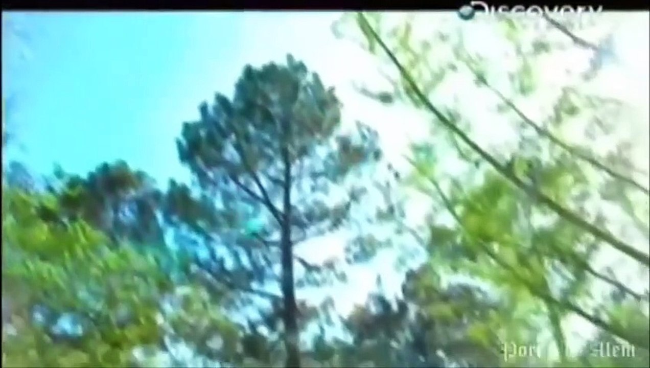 ASSOMBRAÇÕES 3ª TEMPORADA EP 03HIDDEN TERROR