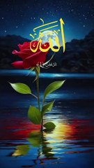 Beautiful Qur'an Recitation