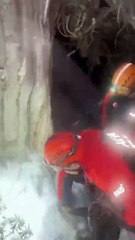 Kar altında mucize! Naciye teyze hayvanlarına sarılarak hayatta kaldı