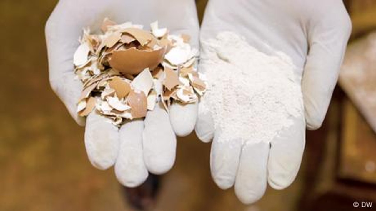 Ugandan entrepreneurs turn waste eggshells to profit