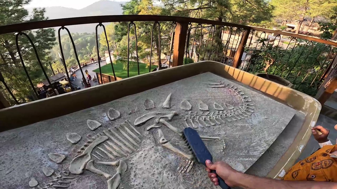 Archaeologist found Dinosaur skeleton