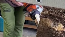 Scier du bois avec une scie à essence#wood#carpenter#woodworking