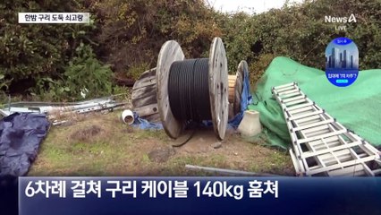 사흘 잠복해 붙잡은 ‘구리 도둑’