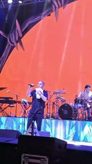 Preocupación por el estado del Pato Fontanero en un recital de Rosario