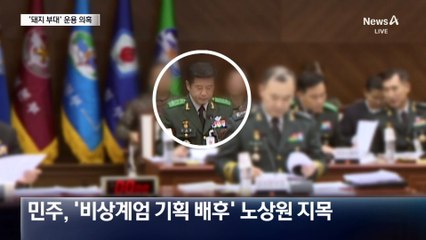 “비선 기획자 노상원, ‘돼지 부대’ 운용”