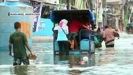 Banjir Rob Setinggi 50 cm Masih Rendam Permukiman di Muara Angke