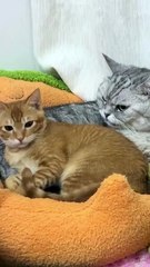 what's wrong with you