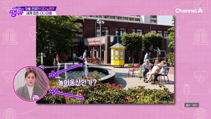 세계적으로 치매 환자가 증가하고 있다♨ 세계 최초 치매 마을 '호그벡'!