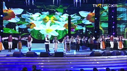 Tiberiu Ceia - Hai, romani, la hora mare (Cerbul de aur - Brasov - TVR - 2009)
