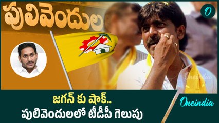 1978 తర్వాత Pulivendula నియోజకవర్గంలో టీడీపీ విజయాలు 🚩