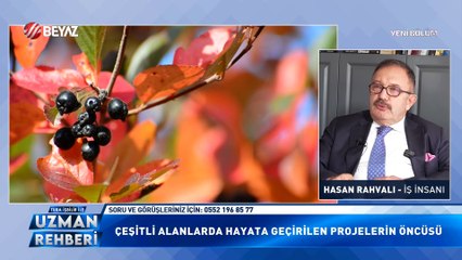 Uzman Rehberi 14 Aralık 2024