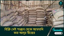 লোকসানের মুখে ব্যবসায়ীরা, বিক্রি নেই পাঞ্জাব থেকে আমদানি করা আলুর বীজের