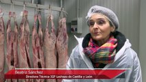 Lechazo de Castilla y León, producto de 