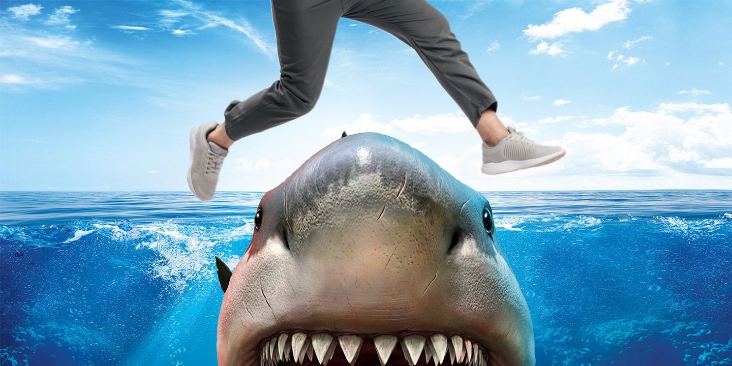 Sauter le Requin !