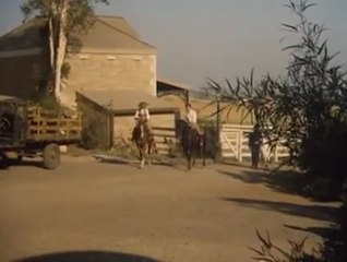 PÁSSAROS FERIDOS (1 PARTE)