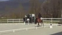 Axelle 27.4.2008 lower quality