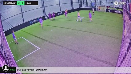 But de Steven - chameau