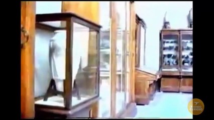 Más Allá de las Pirámides