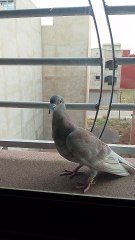 Rabat Maroc morroco casa bla