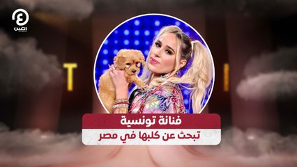 فنانة تونسية تبحث عن كلبها في مصر