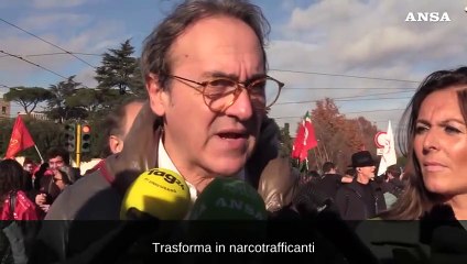 Ddl Sicurezza, Bonelli: "Misura illiberale, cinica e feroce"