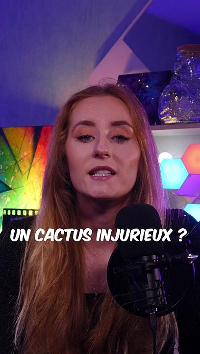 #14 Un cactus injurieux ?