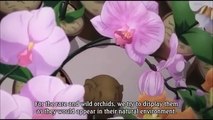 Switch - Eng sub BL anime