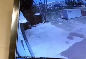 Robó un depósito tras saltar un alambre de púas y fue capturado en la huida