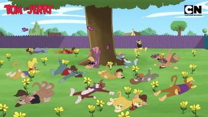 Tom & Jerry 😺🐭  Just Cat & Mouse Things   #tomandjerry   Funny Cartoons   @cnindia