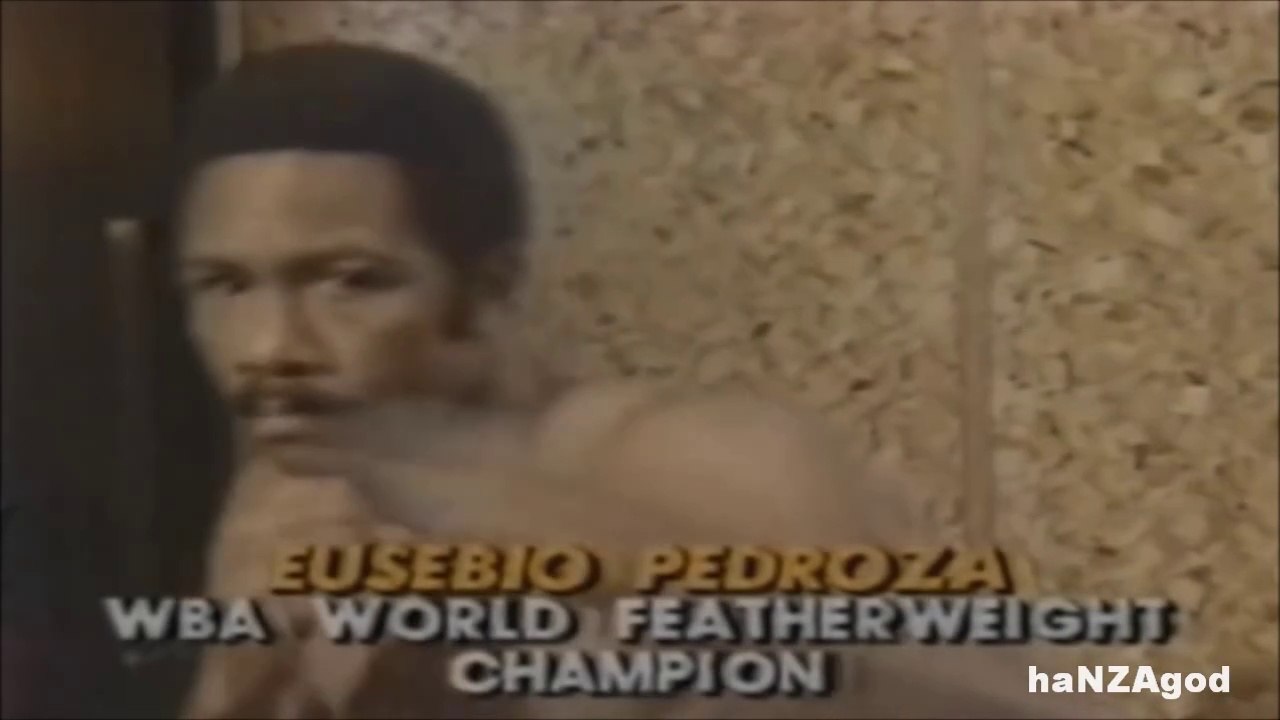 Eusebio Pedroza - Boxing Masterclass vs Patrick Ford (haNZAgod)