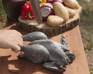 Juicy ASMR! Outdoor cooking sounds you’ll love!