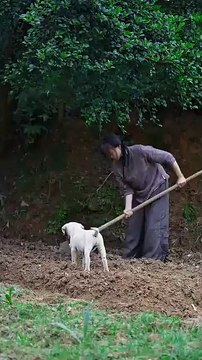 Hardworking women my life 💝
