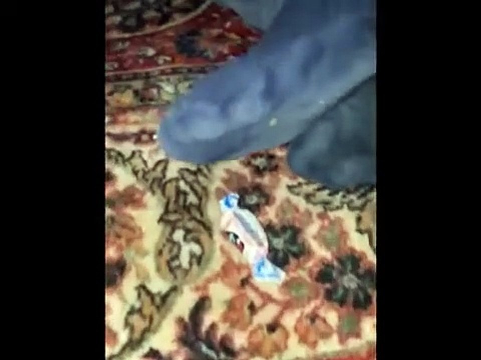 White Rabbit II | movie | 2025 | Official Teaser - video Dailymotion