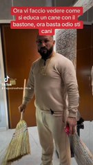 la scopa per educare un cane