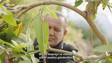 Türkiye'deki meyve-sebzelerin tamamında var! Tarım ilaçları çocuklarınızı lösemi yapıyor!