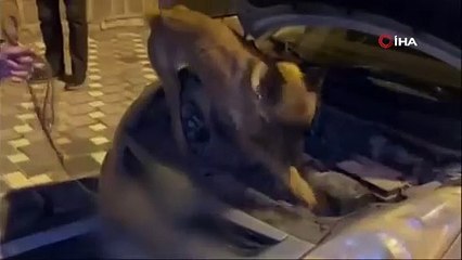 Uyuşturucuyu hava filtresinin altına gizlemişler