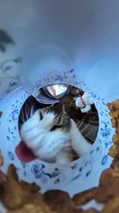 don't forget to breakfast