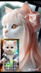 #on line# trending #learn#  short video #