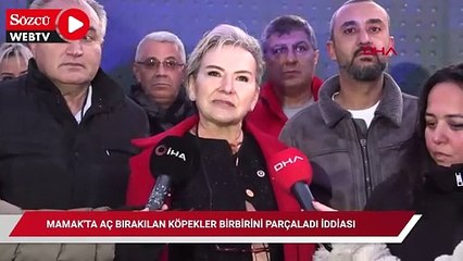 Aç bırakılan köpekler birbirini parçaladı