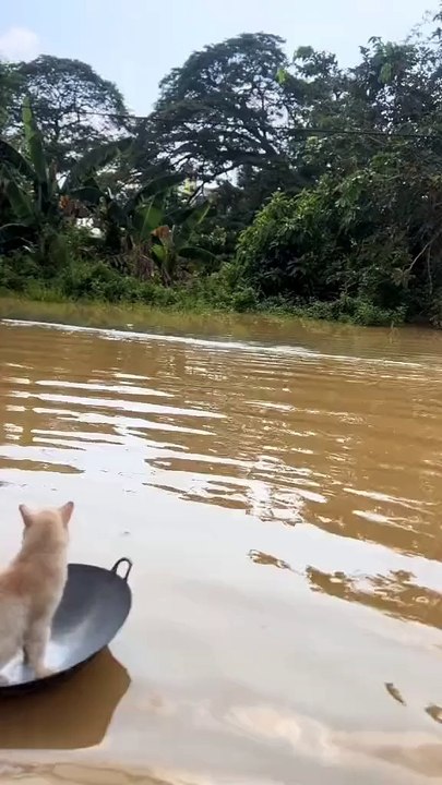 berlayar menuju pulau kuali