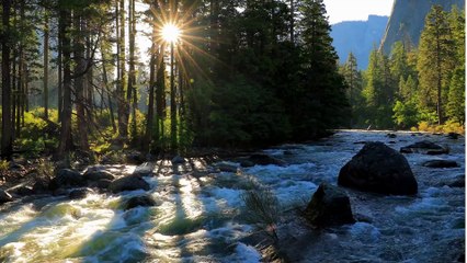 "सुबह की किरणें | Morning Affirmation Song | Positive Vibes"