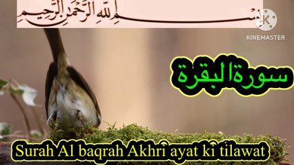 Most beautiful  tilawat surah baqra top 10 most beautiful quran recitation quran in beautiful voice