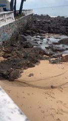 Esgoto jorra na praia da Barra em meio a ato de preservação ambiental; veja vídeo