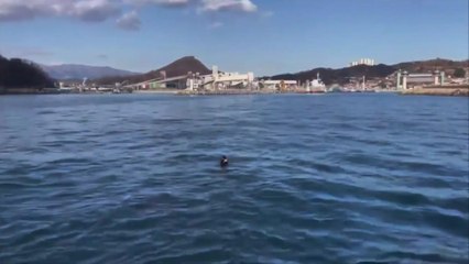 바다에 빠진 예인선 기관장 해양경찰이 무사히 구조 / YTN